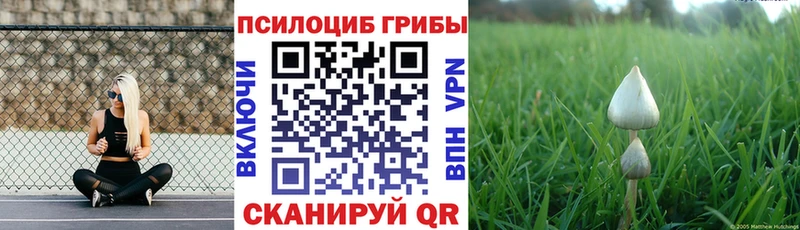 Галлюциногенные грибы Psilocybine cubensis  наркотики  Артёмовский 